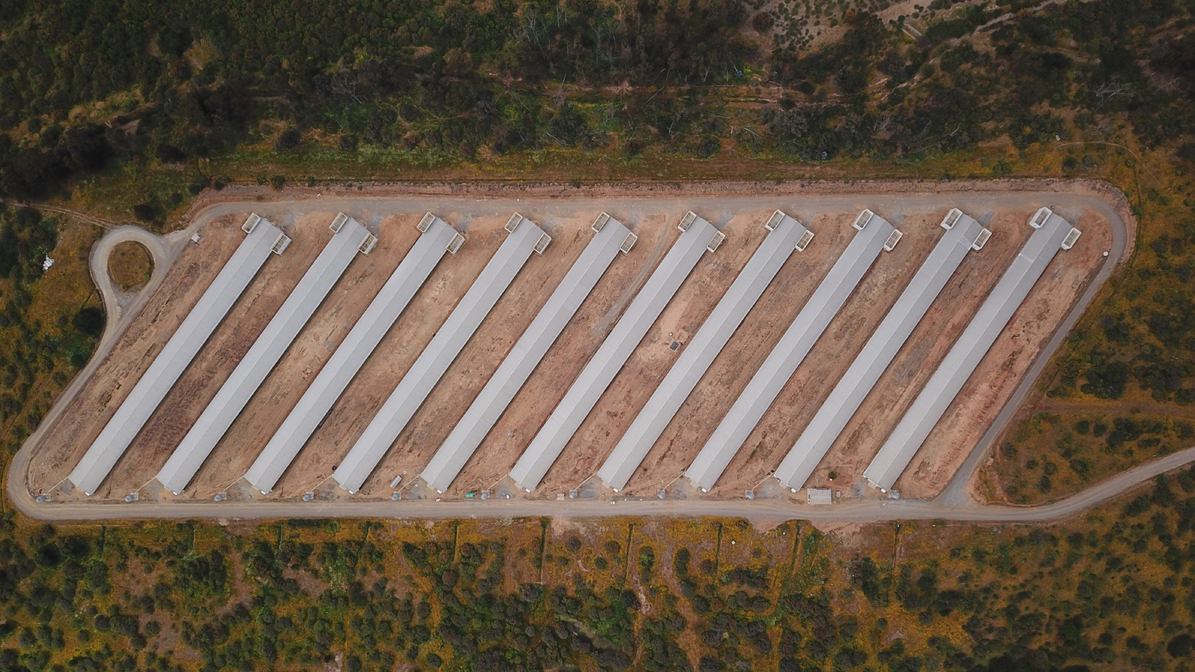 Vista aérea de instalaciones productivas de Agrosuper en Chile