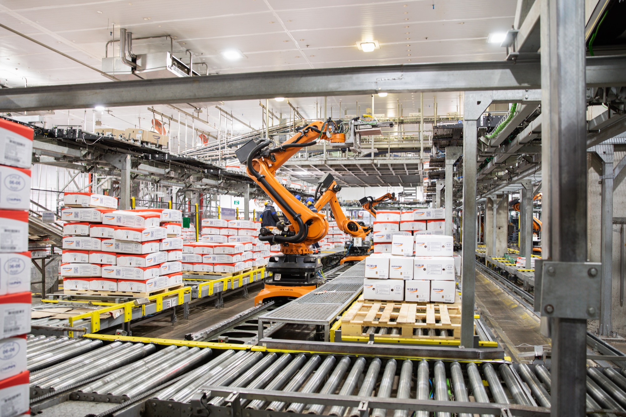 Automatización robótica en planta productiva Agrosuper